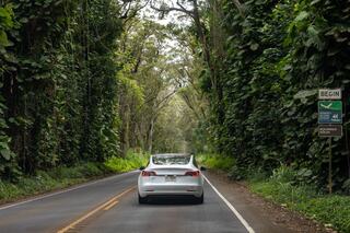 A sleek white car drives along a winding road flanked by lush greenery, leading into a tranquil forested area marked by a sign.