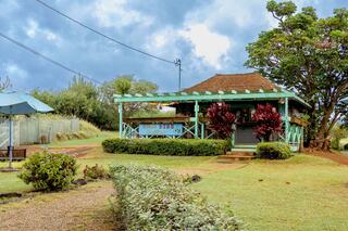 A charming green and brown house surrounded by lush landscaping, with tropical plants and a grassy area under a cloudy sky.