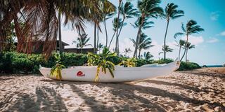 A white canoe rests on sandy beach, adorned with lush green plants, surrounded by palm trees and a clear blue sky.