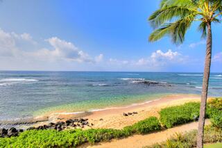 A serene beach scene with golden sand, clear turquoise waters, and palm trees under a bright blue sky, creating a tropical paradise vibe.