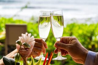 Two glasses of champagne are clinking together in a tropical setting, surrounded by vibrant flowers and a scenic ocean view in the background.
