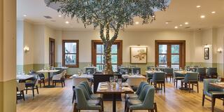 A spacious restaurant with elegant seating, wooden floors, and a striking tree centerpiece, creating a warm and inviting atmosphere.