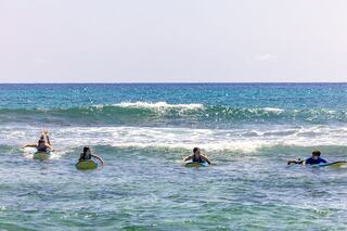 Four surfers paddle through vibrant blue waters, ready to catch waves under a clear sky. Sunlight glistens on the ocean’s surface.