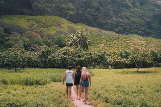 Three individuals walk barefoot along a path through lush greenery and rolling hills, surrounded by vibrant foliage and palm trees.