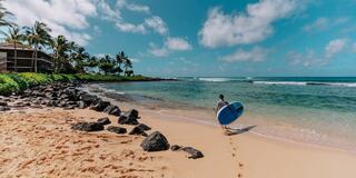 A person carries a blue surfboard along a sandy beach, with lush green trees and a calm ocean in the background under a bright sky.