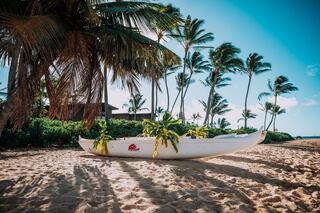 A canoe rests on sandy shores, surrounded by lush palm trees under a bright blue sky, evoking a serene tropical atmosphere.