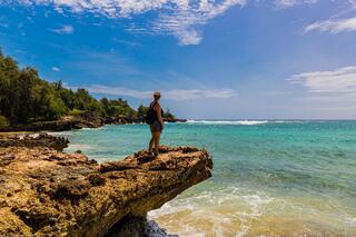 A person stands on a rocky outcrop, gazing out at a turquoise sea under a bright blue sky, surrounded by lush greenery.