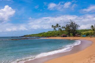 A tranquil beach scene with gentle waves, soft sandy shores, palm trees, and a lush green backdrop under a bright blue sky.