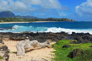A serene coastal scene with crashing waves, rocky shorelines, lush greenery, and distant mountains under a partly cloudy sky.