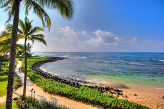 A tranquil coastline with palm trees, gentle waves, and a sandy beach, under a bright blue sky with fluffy clouds. Ideal for relaxation.