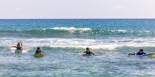 Four surfers on colorful boards are waiting in calm waters, with gentle waves rolling towards the shore under a bright sky.