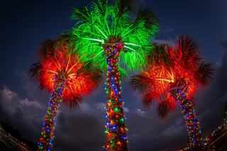 Colorful palm trees adorned with bright green, red, and blue lights glow against a twilight sky, creating a festive, tropical atmosphere.