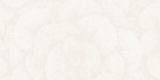 A subtle, light background features intricate, spiral patterns resembling fossilized ammonites in soft hues.