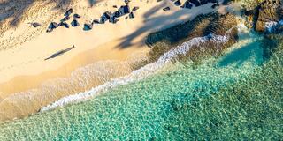 A serene beach scene features soft waves lapping against golden sand, with shadows of trees and distant figures enjoying the tranquility.