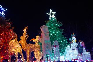 Brightly lit holiday decorations feature reindeer, a polar bear, and a whimsical Santa with glowing trees under a starry sky.