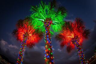 Three palm trees adorned with vibrant red, green, and multicolored lights glow against a twilight sky, creating a festive atmosphere.