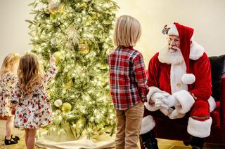 Two children interact with Santa Claus near a beautifully decorated Christmas tree, full of lights and ornaments, embodying holiday joy.