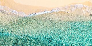 A serene beach scene features gentle waves lapping at soft, golden sand, with clear turquoise water revealing a vibrant underwater world.