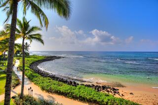 A serene shoreline with clear blue waters, lush greenery, and palm trees swaying under a bright sky creates a tropical paradise atmosphere.