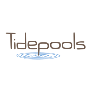 A playful logo featuring the word "Tidepools," with a gentle wave graphic suggesting water ripples, in earthy brown and soothing blue tones.